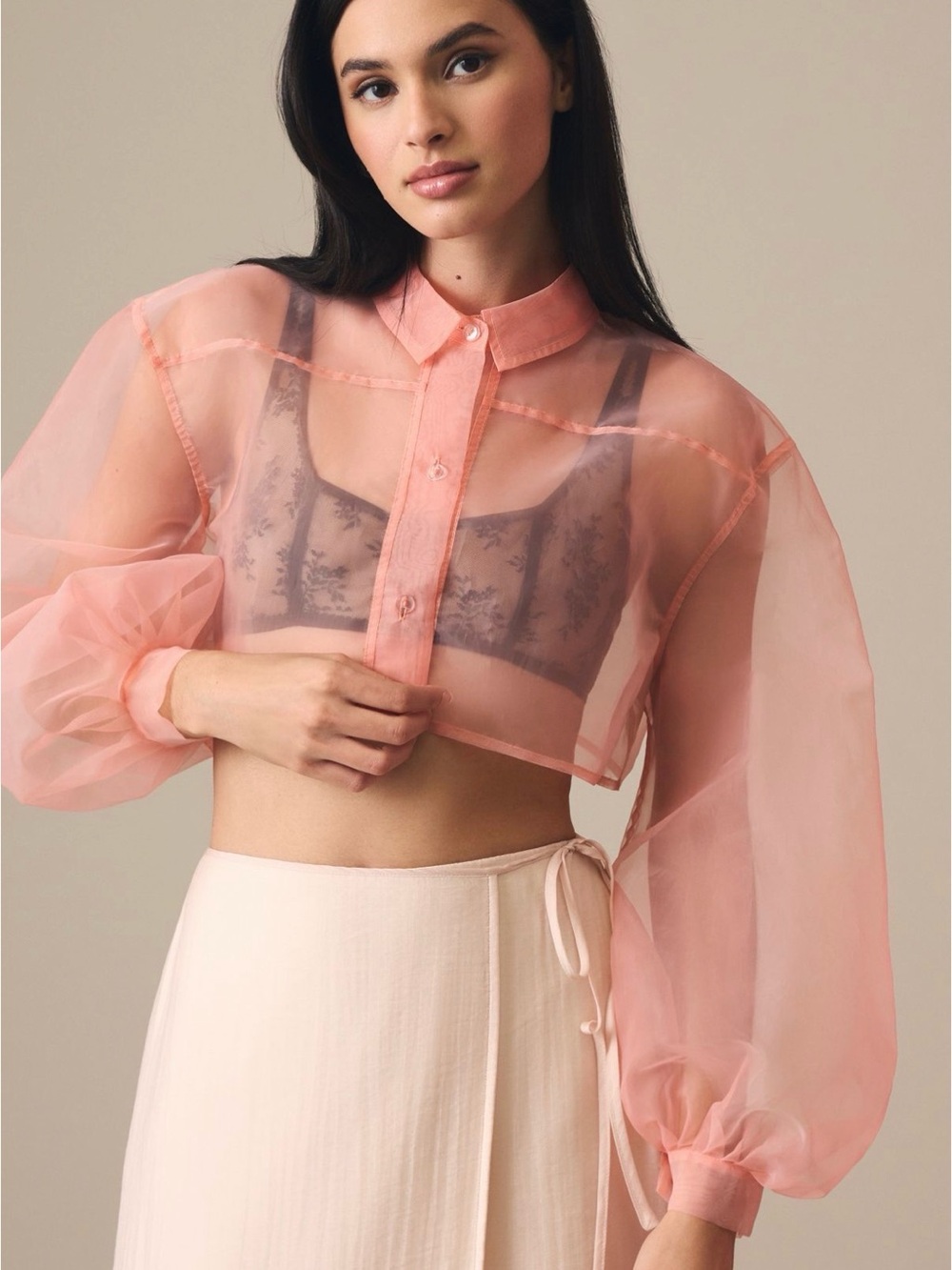 Anthropologie Sheer Button-Up Blouse in Soft Pink